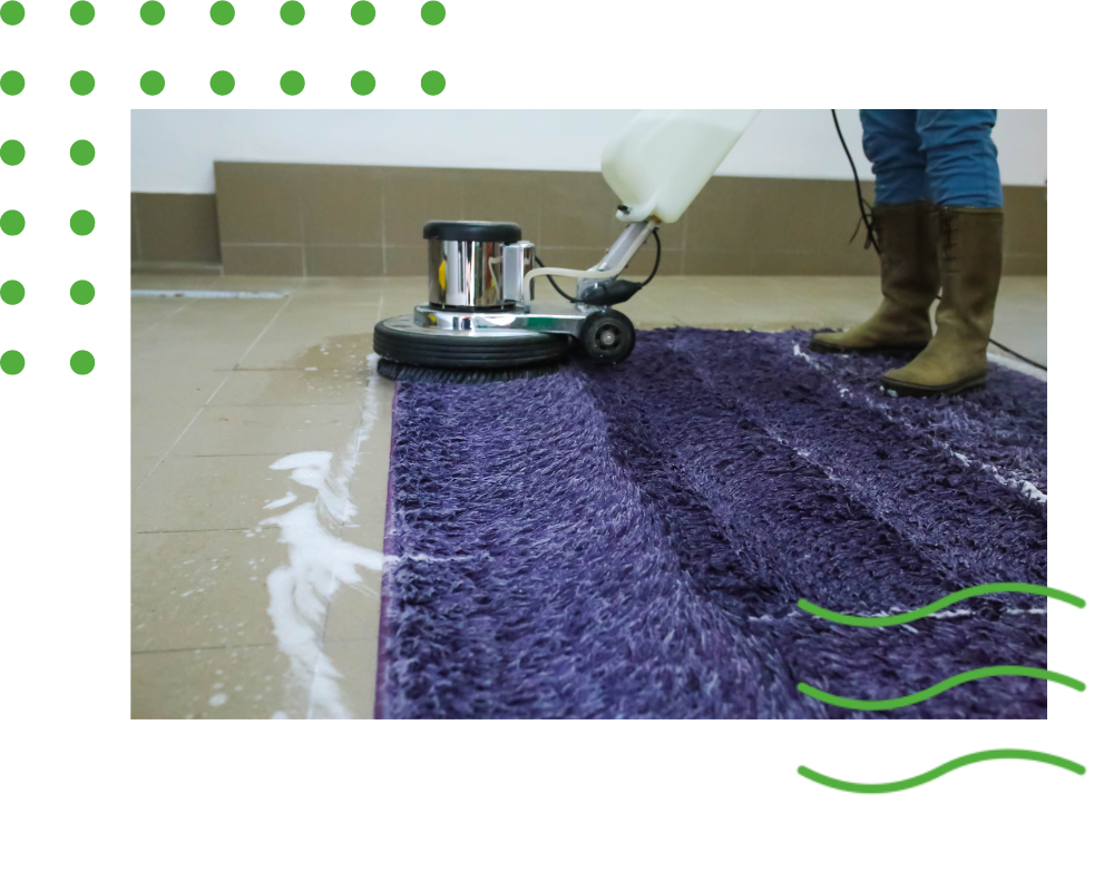 Rug Cleaning in Whitestown IN