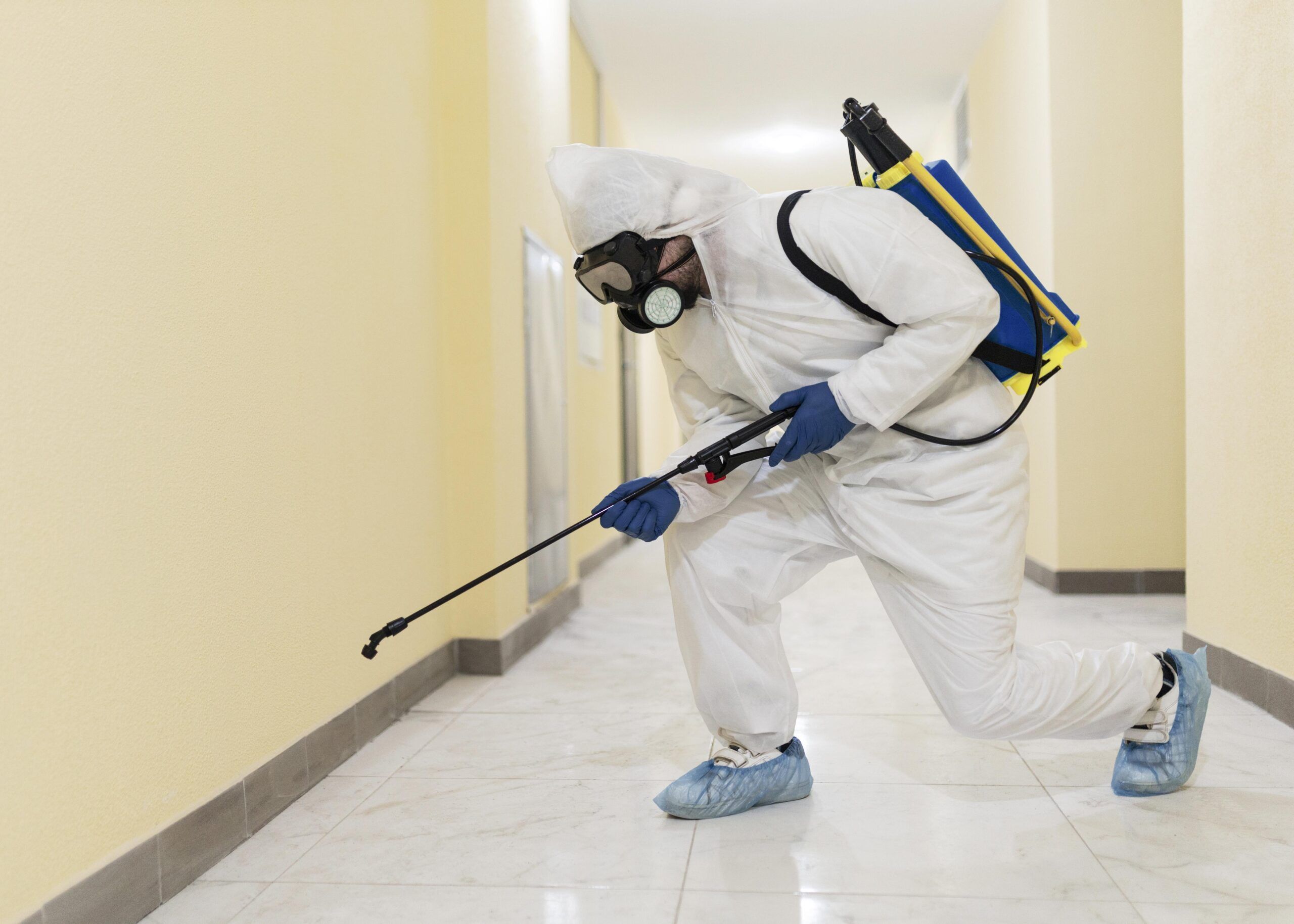 Best mold removal company in fisher, IN