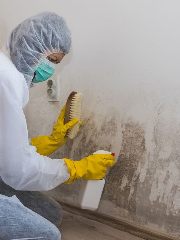 Mold Remediation in Geist in