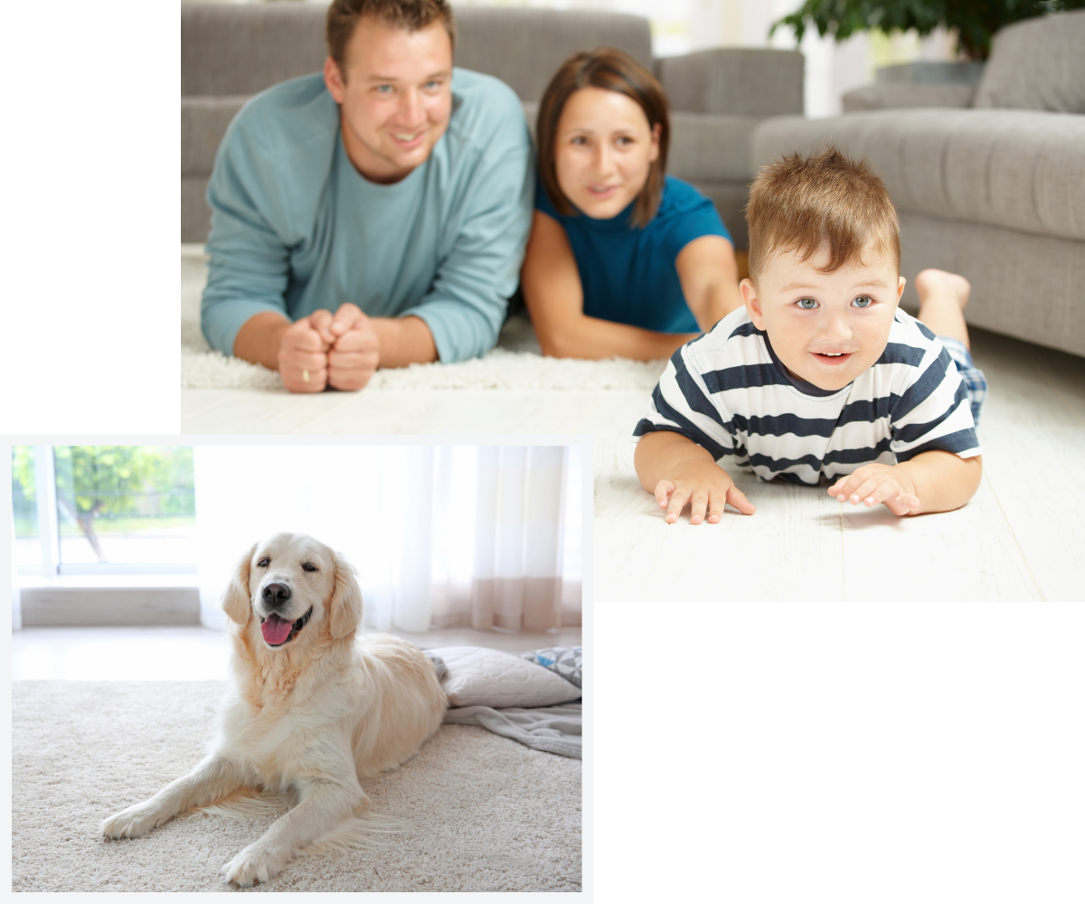 Professional Carpet Cleaning