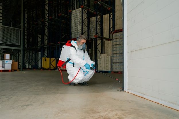 How Mold Impacts Warehouses and Manufacturing Plants