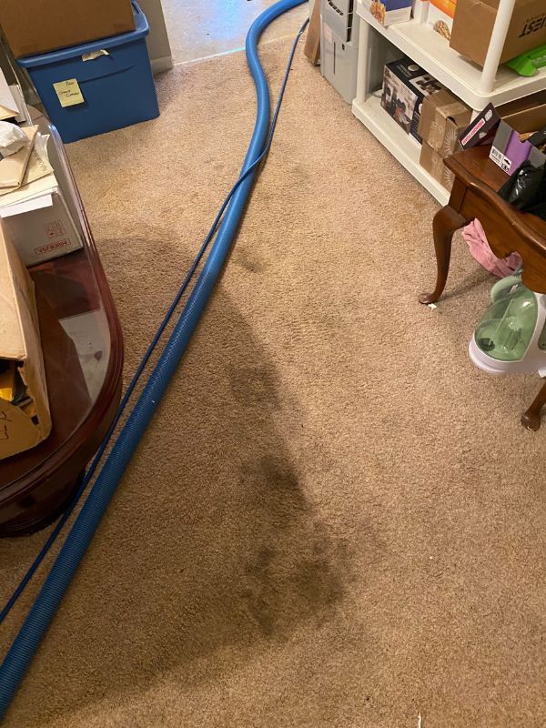 Blue cleaning hose across a stained beige carpet in a cluttered utility room.