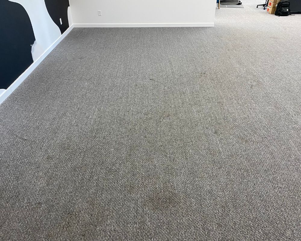 Clean gray carpet flooring in an indoor room with white walls and doorway.