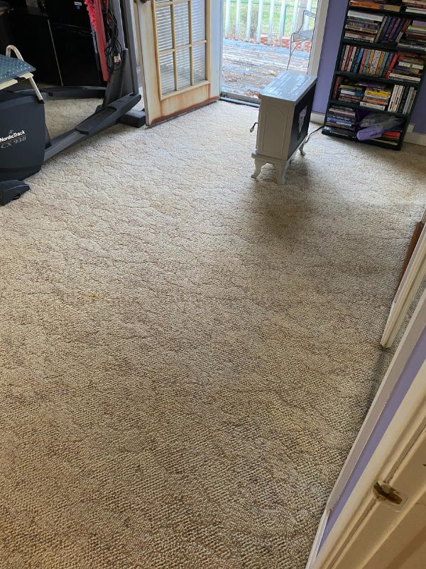Carpeted room with home gym equipment, open glass door, cardboard box, and book-filled shelving.