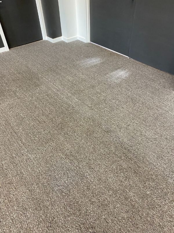 Freshly cleaned beige-gray carpet in an empty room with charcoal walls and white baseboards.