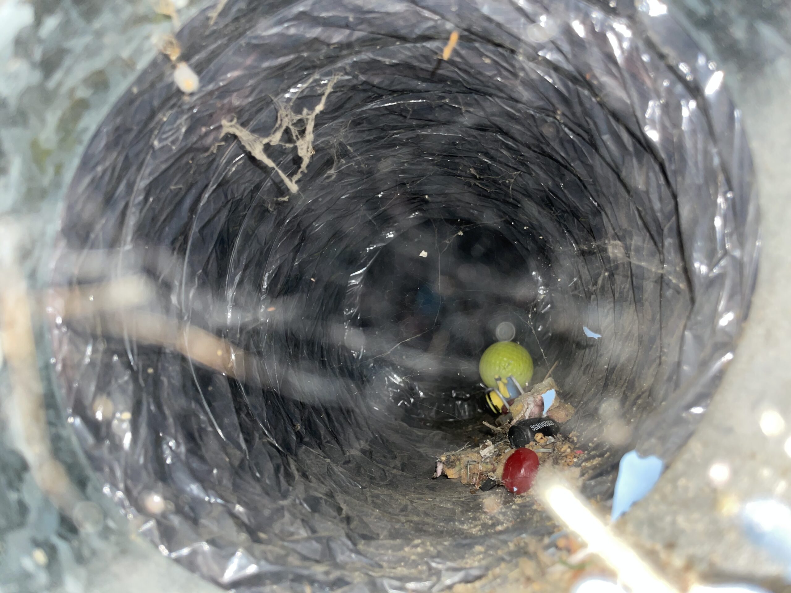 Close-up of tangled silvery fibers surrounding a dark cavity with colorful debris.