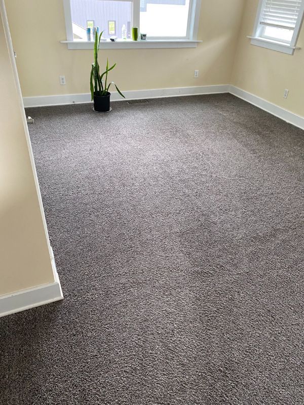 Clean empty beige room with gray-brown carpet, bright windows, white trim, and potted plant.