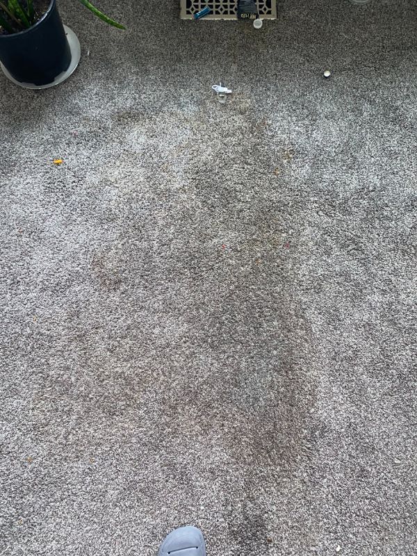 Close-up of textured gray carpet with floor vent, scattered debris, dark container, and shoe toe.