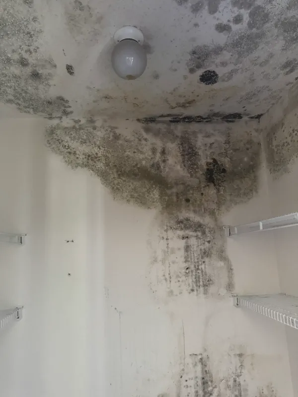 Severe mold and water damage stain closet ceiling and walls, with dark growth along the corner.