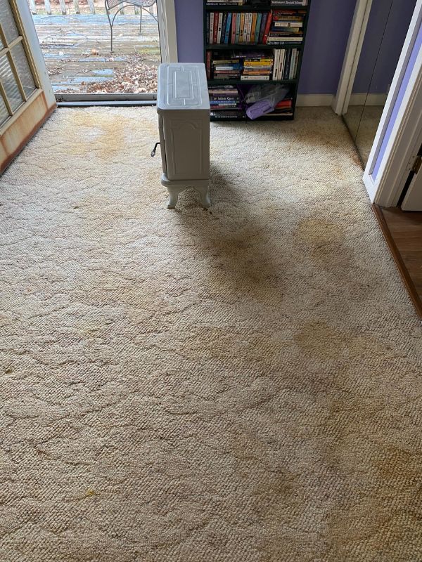 Worn beige carpet with stains and flattened fibers in a residential room after cleaning.