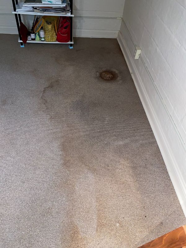 Worn beige carpet with dark brown stain and heavy discoloration beside a white baseboard.