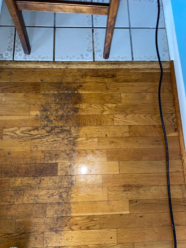 Worn honey-brown hardwood floor with dark stains, rustic glass panels, and black cable.